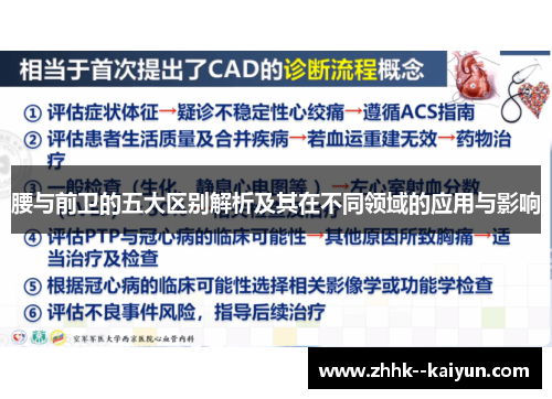 腰与前卫的五大区别解析及其在不同领域的应用与影响